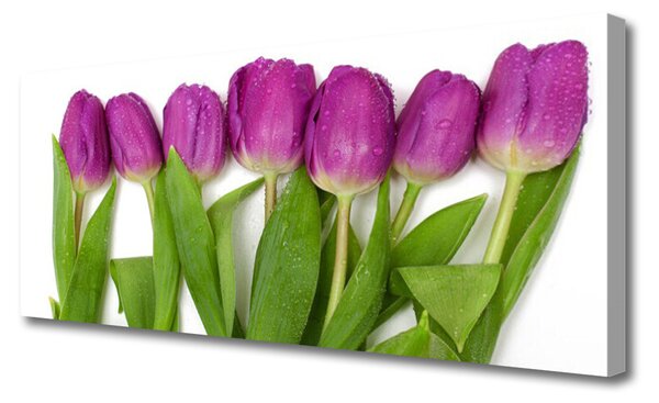 Obraz na plátne Tulipány kvety rastlina 125x50 cm