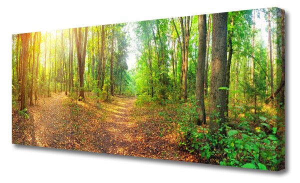 Obraz na plátne Les príroda 125x50 cm