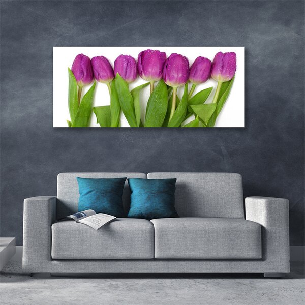Obraz na plátne Tulipány kvety rastlina 125x50 cm