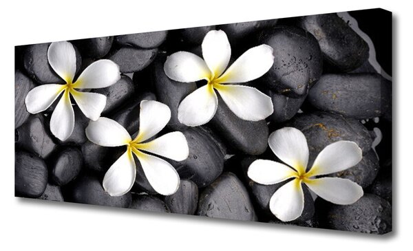 Obraz na plátne Kvety rastlina príroda 125x50 cm