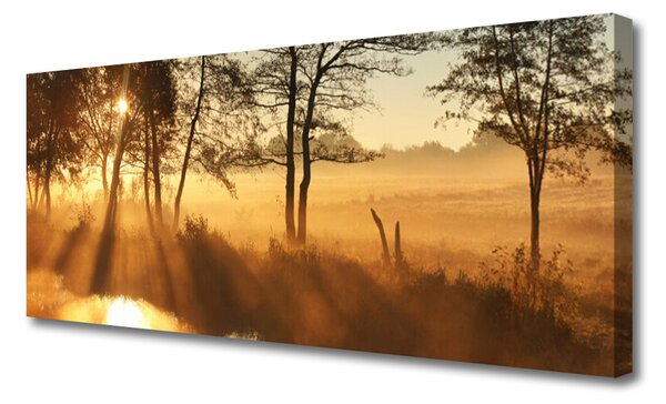 Obraz na plátne Stromy príroda 125x50 cm