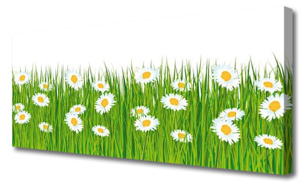 Obraz na plátne Tráva sedmokrásky príroda 125x50 cm