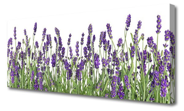Obraz Canvas Kvety rastlina príroda 125x50 cm