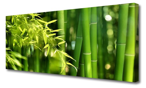 Obraz Canvas Bambus listy rastlina 125x50 cm
