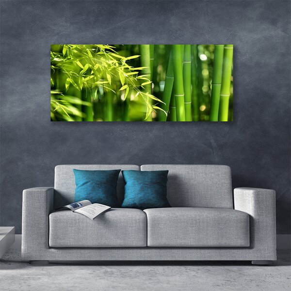Obraz Canvas Bambus listy rastlina 125x50 cm