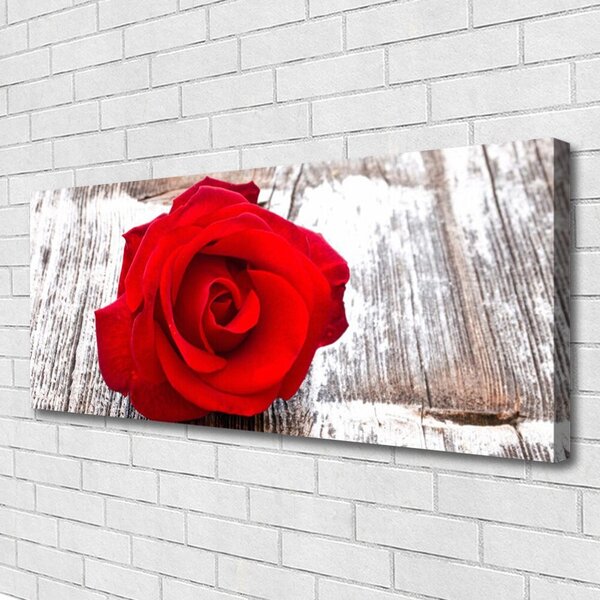 Obraz Canvas Ruže kvet rastlina 125x50 cm