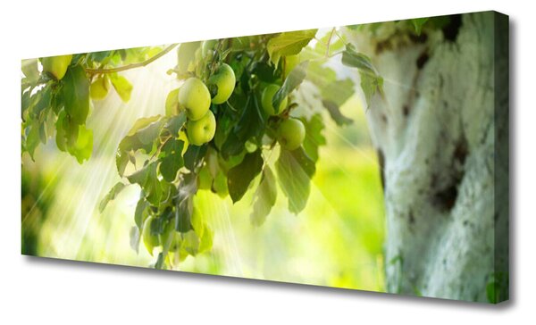 Obraz Canvas Jablká vetva strom príroda 125x50 cm
