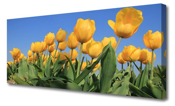 Obraz Canvas Tulipány kvety rastlina 125x50 cm