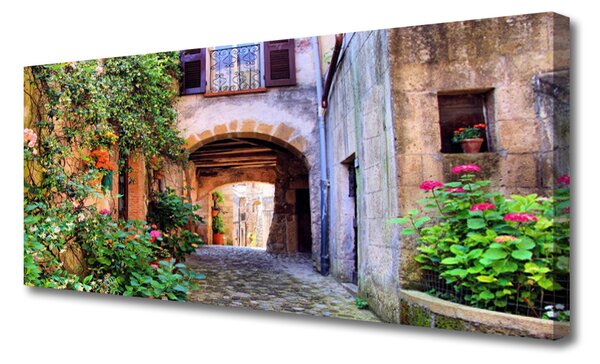 Obraz Canvas Aleje kvety domy rastlina 125x50 cm