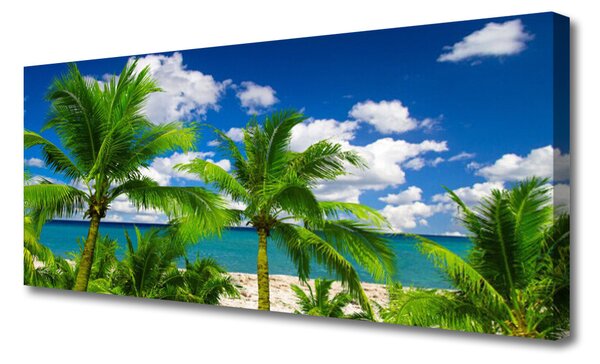Obraz Canvas More palma stromy príroda 125x50 cm