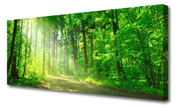 Obraz Canvas Les cestička stromy príroda 125x50 cm
