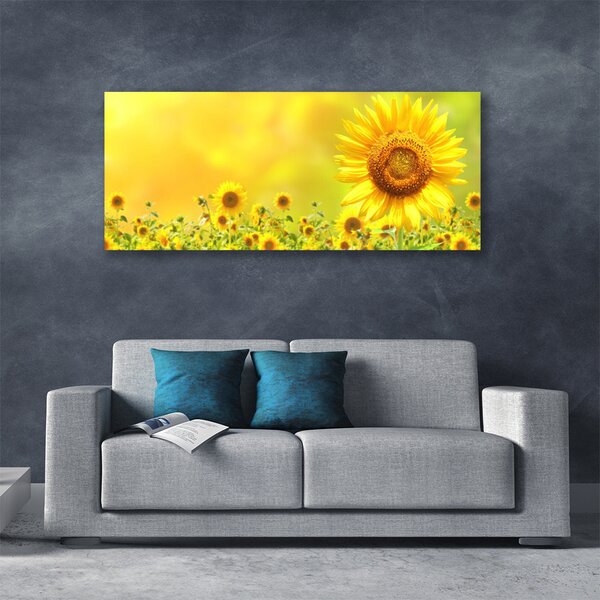 Obraz Canvas Slnečnica kvet rastlina 125x50 cm