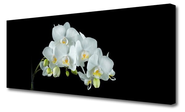 Obraz Canvas Kvety rastlina príroda 125x50 cm