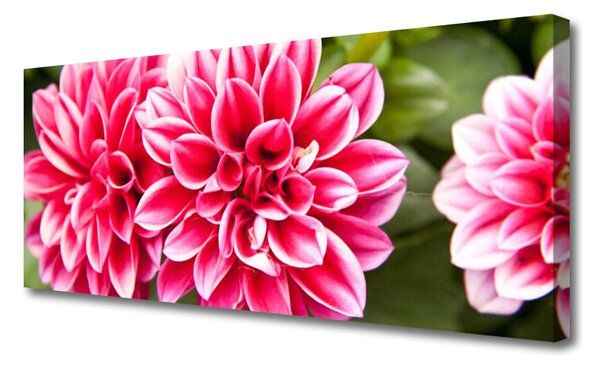 Obraz Canvas Kvety rastlina príroda 125x50 cm