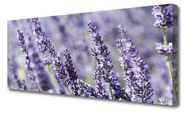 Obraz Canvas Kvety rastlina príroda 125x50 cm