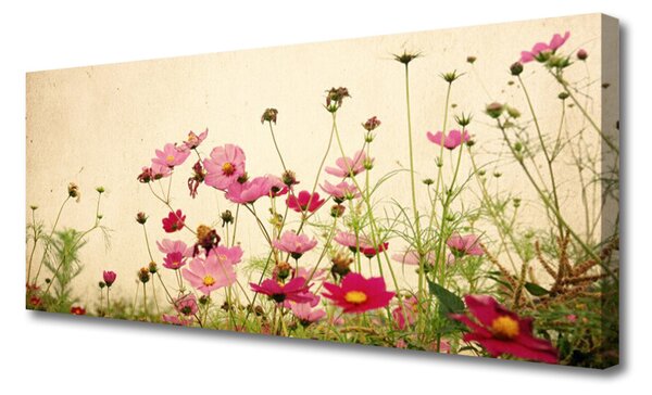 Obraz Canvas Kvety rastlina príroda 125x50 cm