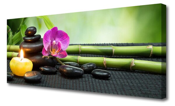 Obraz Canvas Bambus kvet kamene zen 125x50 cm