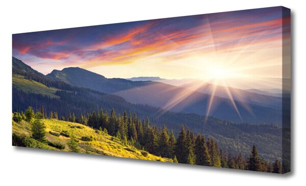 Obraz Canvas Hora les slnko krajina 125x50 cm