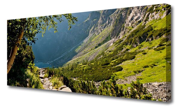 Obraz Canvas Hora les príroda 125x50 cm
