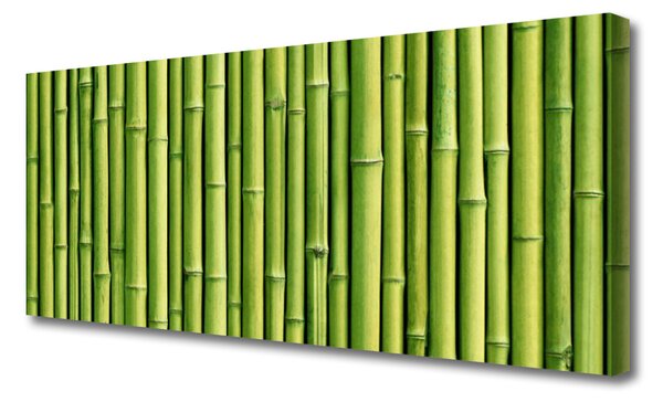 Obraz Canvas Bambus rastlina príroda 125x50 cm