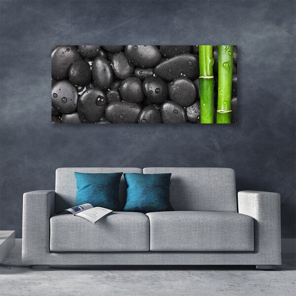 Obraz Canvas Bambus stonka kamene 125x50 cm