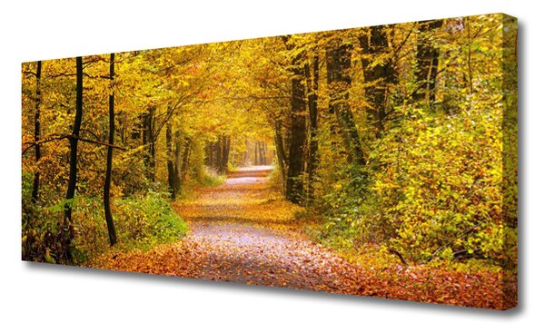 Obraz Canvas Les rastlina cestička príroda 125x50 cm
