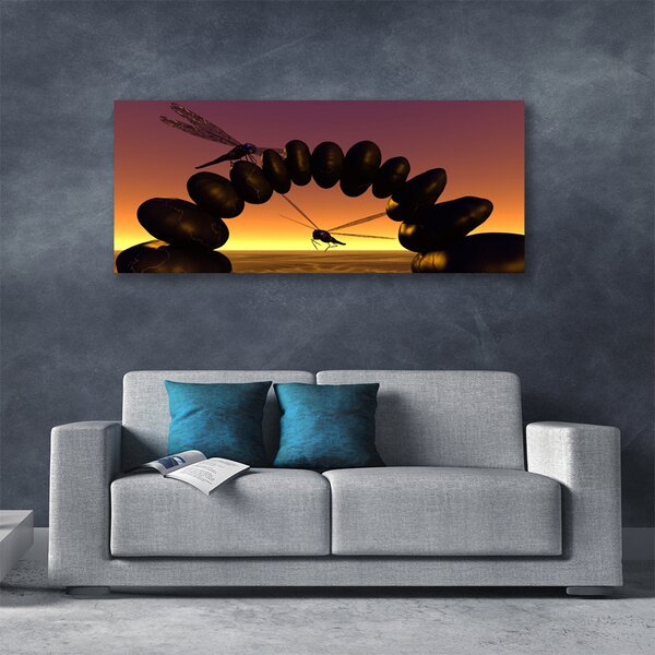 Obraz Canvas Vážky kamene umenie 125x50 cm