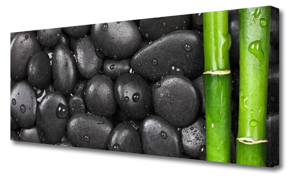 Obraz Canvas Bambus stonka kamene 125x50 cm
