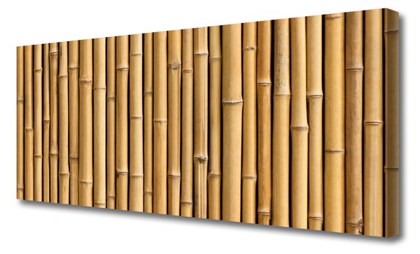 Obraz Canvas Bambus rastlina príroda 125x50 cm