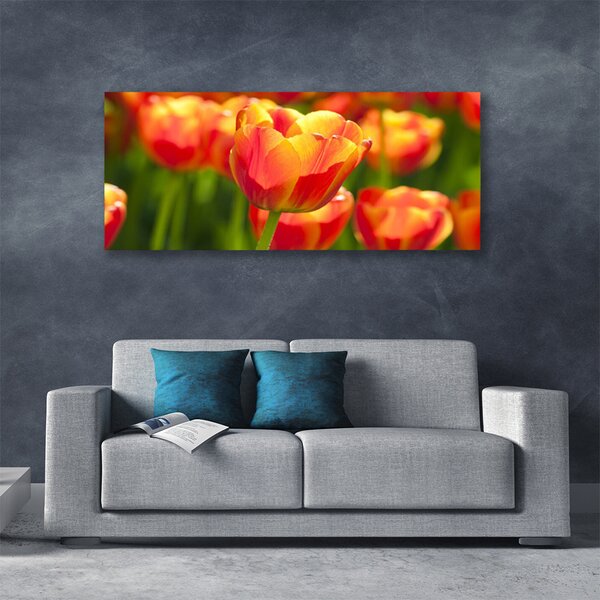 Obraz Canvas Tulipány kvety rastlina 125x50 cm