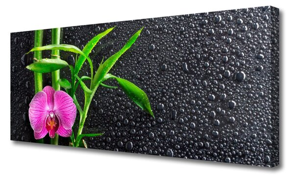 Obraz Canvas Bambus kvet kvapky 125x50 cm