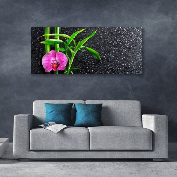 Obraz Canvas Bambus kvet kvapky 125x50 cm