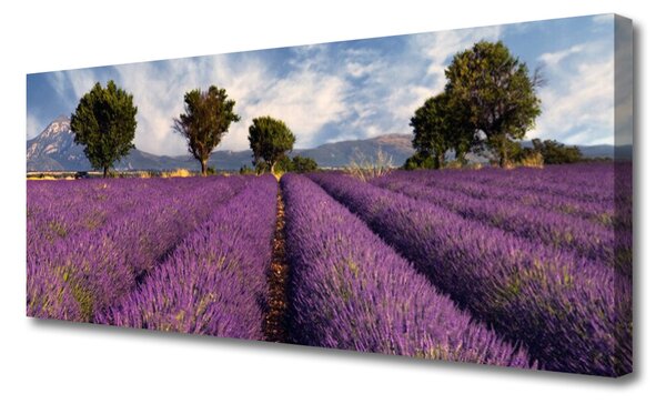 Obraz Canvas Lúka stromy príroda 125x50 cm