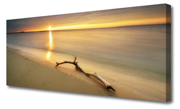 Obraz Canvas Oceán pláž príroda 125x50 cm