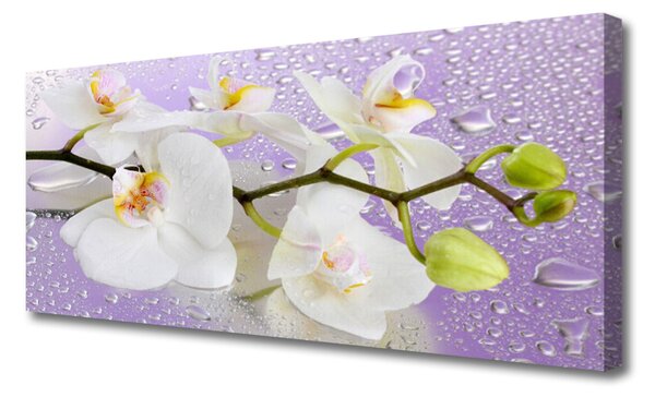 Obraz Canvas Kvety rastlina príroda 125x50 cm