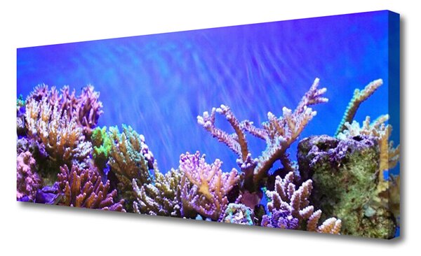 Obraz Canvas Koralový útes príroda 125x50 cm
