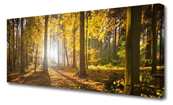 Obraz Canvas Les listy rastlina príroda 125x50 cm