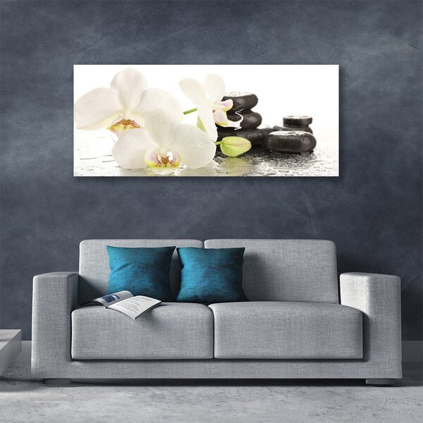 Obraz Canvas Kvet kamene rastlina 140x70 cm