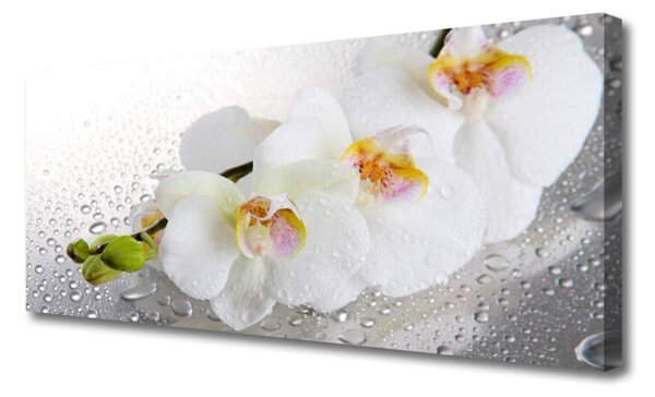 Obraz Canvas Kvety rastlina príroda 125x50 cm