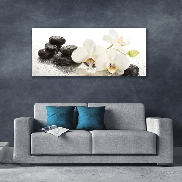 Obraz Canvas Kvet kamene rastlina 125x50 cm