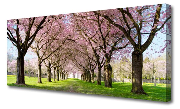 Obraz Canvas Chodník stromy príroda 125x50 cm