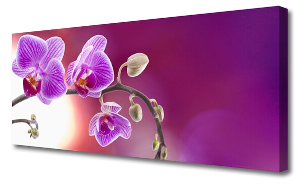 Obraz Canvas Kvety rastlina príroda 125x50 cm