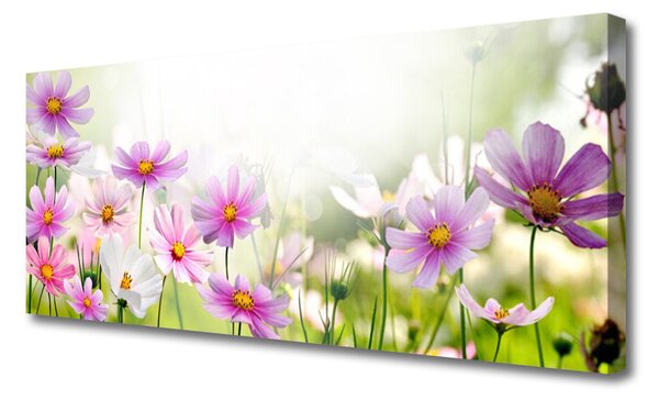 Obraz Canvas Kvety rastlina príroda 125x50 cm