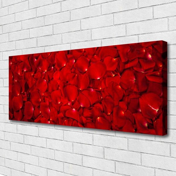Obraz Canvas Plátky rastlina príroda 125x50 cm