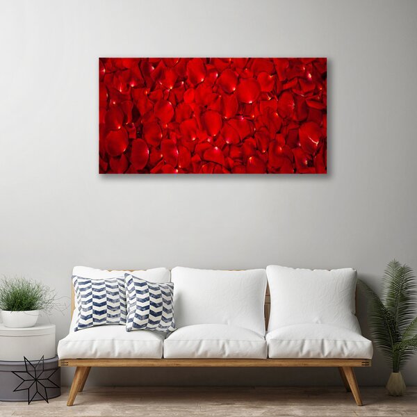 Obraz Canvas Plátky rastlina príroda 125x50 cm