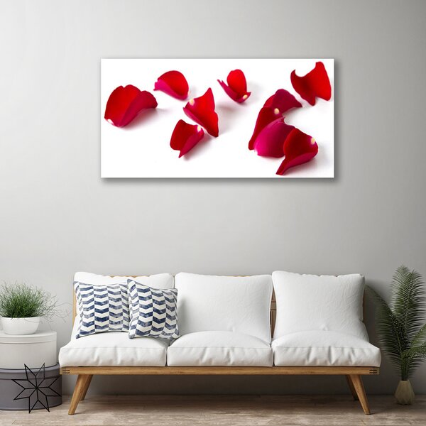 Obraz Canvas Plátky rastlina príroda 125x50 cm