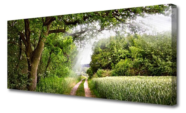 Obraz Canvas Stromy chodník príroda 125x50 cm