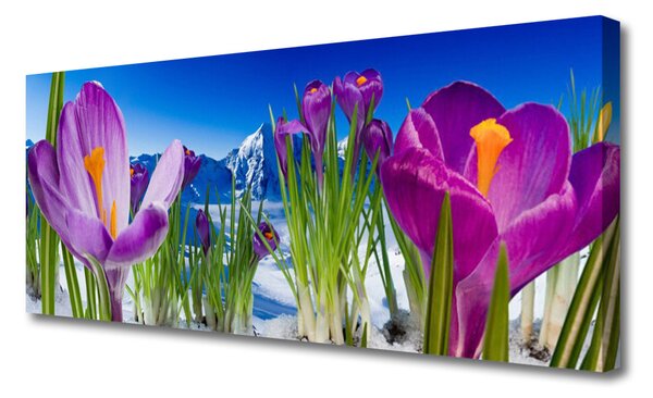 Obraz Canvas Kvety rastlina príroda 125x50 cm