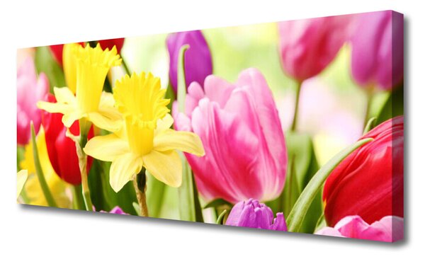 Obraz Canvas Kvety rastlina príroda 125x50 cm
