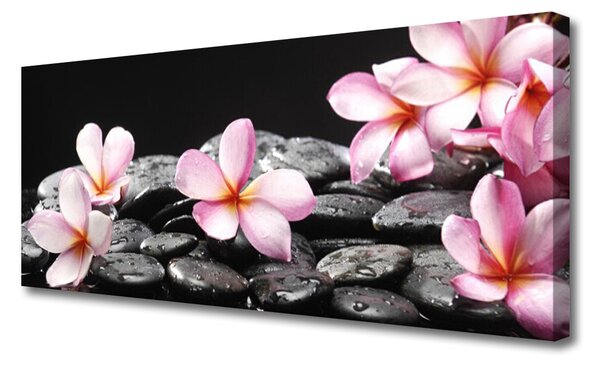 Obraz Canvas Kvet kamene rastlina 125x50 cm